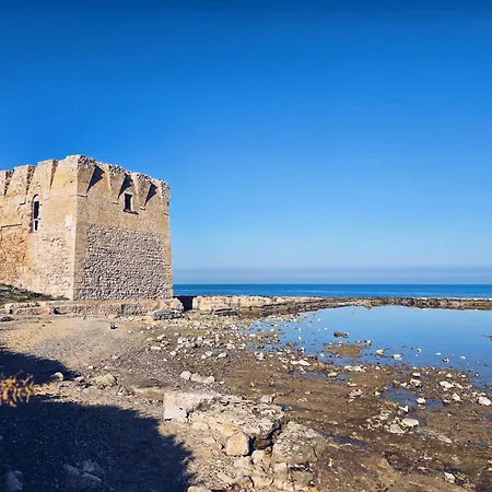 Yellow Flowers Con Garage Ed Ascensore Appartement