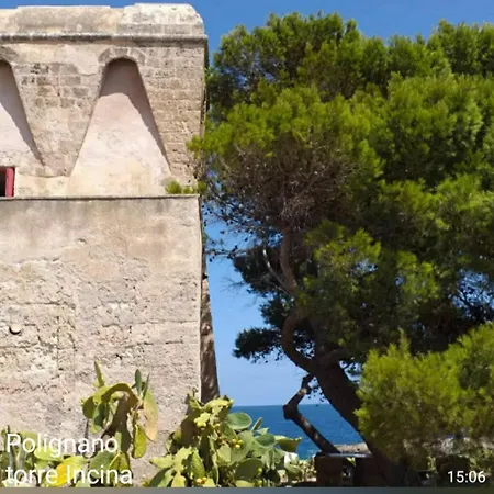 Yellow Flowers Con Garage Ed Ascensore