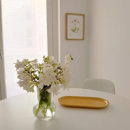 Apartment Yellow Flowers With Elevetor And Parking Spot Polignano a Mare
