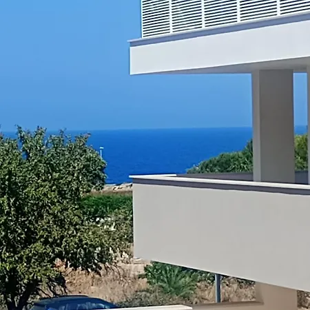 Yellow Flowers With Elevetor And Parking Spot Apartment Polignano a Mare