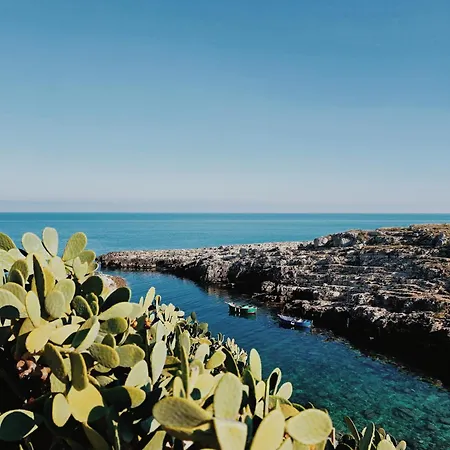 Yellow Flowers With Elevetor And Parking Spot Apartment Polignano a Mare