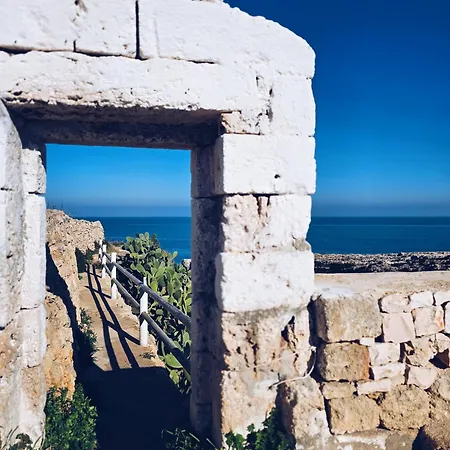 Appartement Yellow Flowers Comfy Homes With Lift & Parking Garage Polignano a Mare