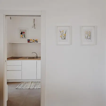 Yellow Flowers With Elevetor And Parking Spot Apartment
