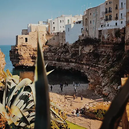 Yellow Flowers With Elevetor And Parking Spot Apartment Polignano a Mare