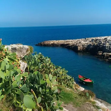 Apartamento Yellow Flowers Con Garage Ed Ascensore